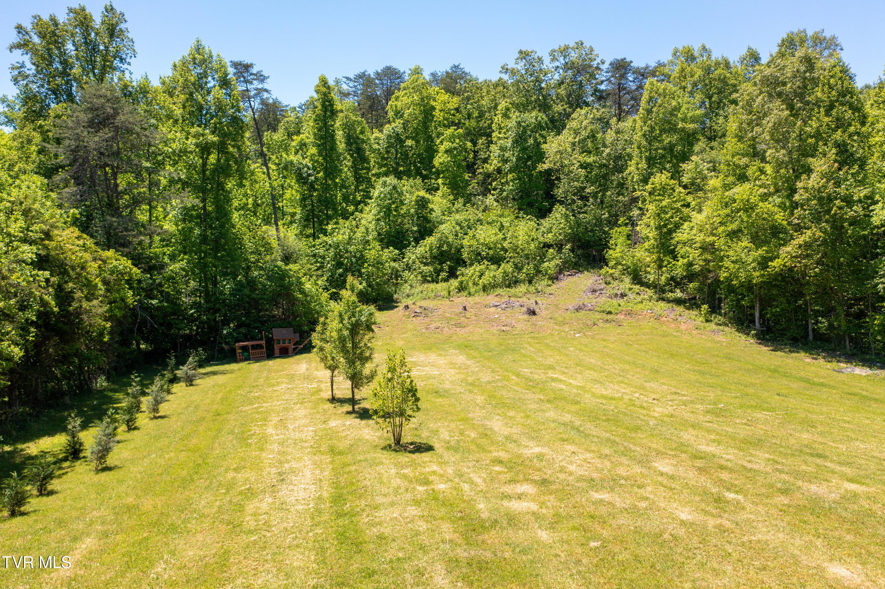 Image 2: Walnut Grove Rd-17