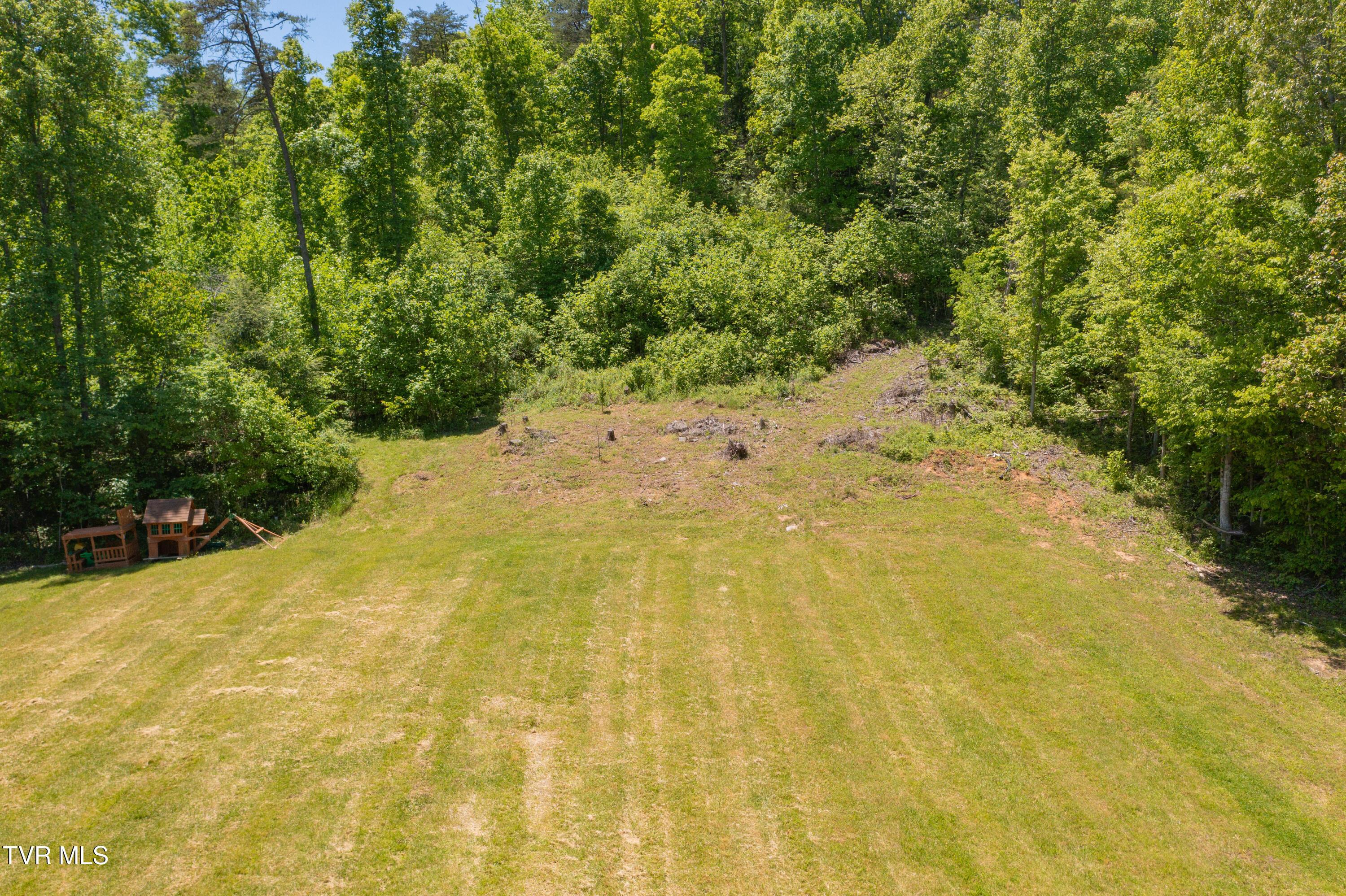 Image 3: Walnut Grove Rd-36