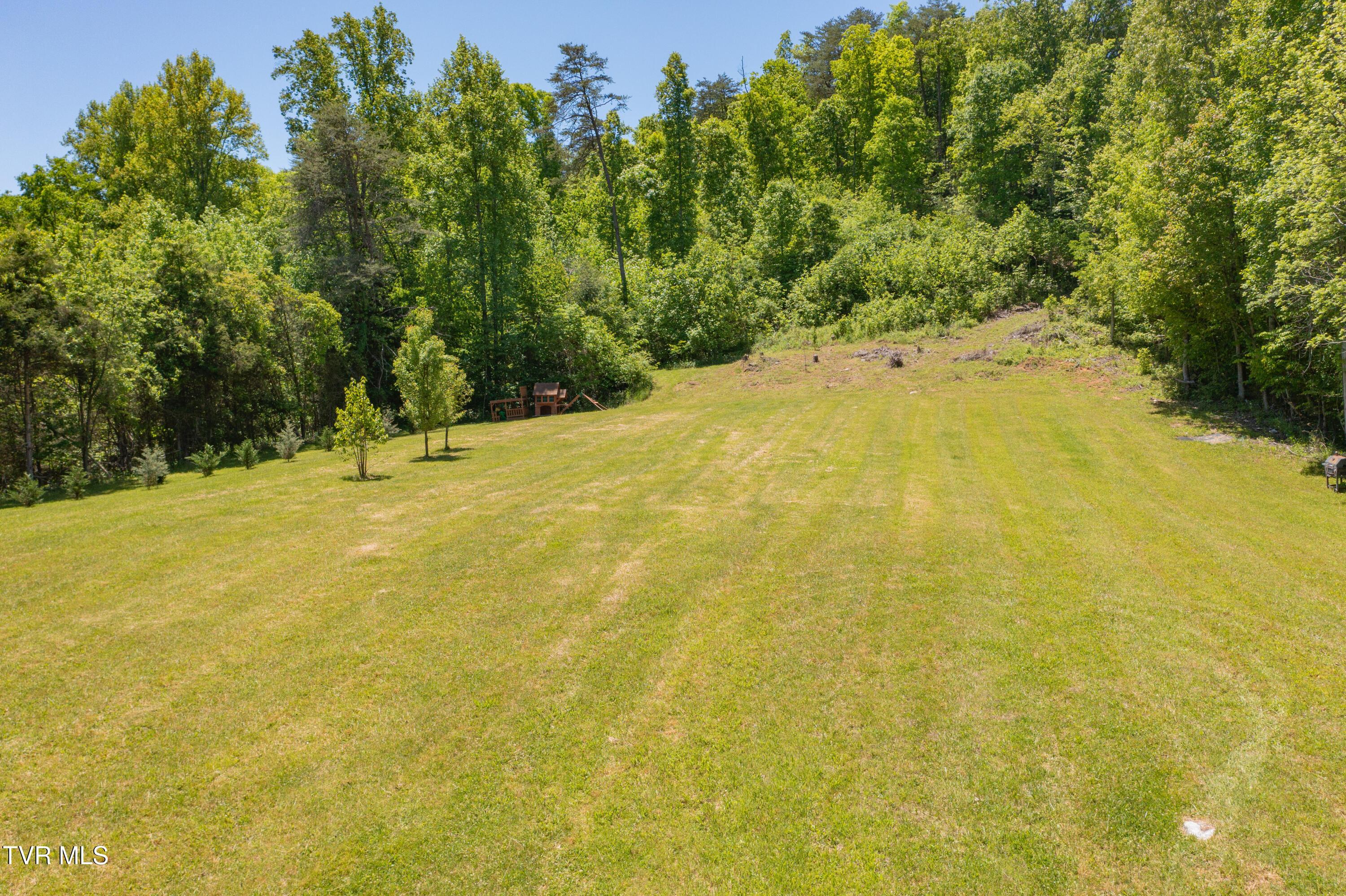 Image 4: Walnut Grove Rd-35