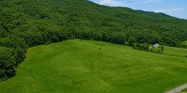Image 3: _Pic3 (3)