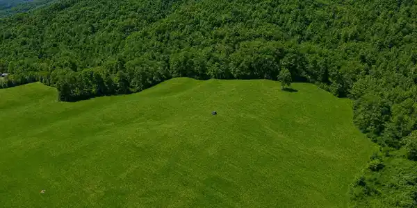 Image 4: _Pic4 (1)