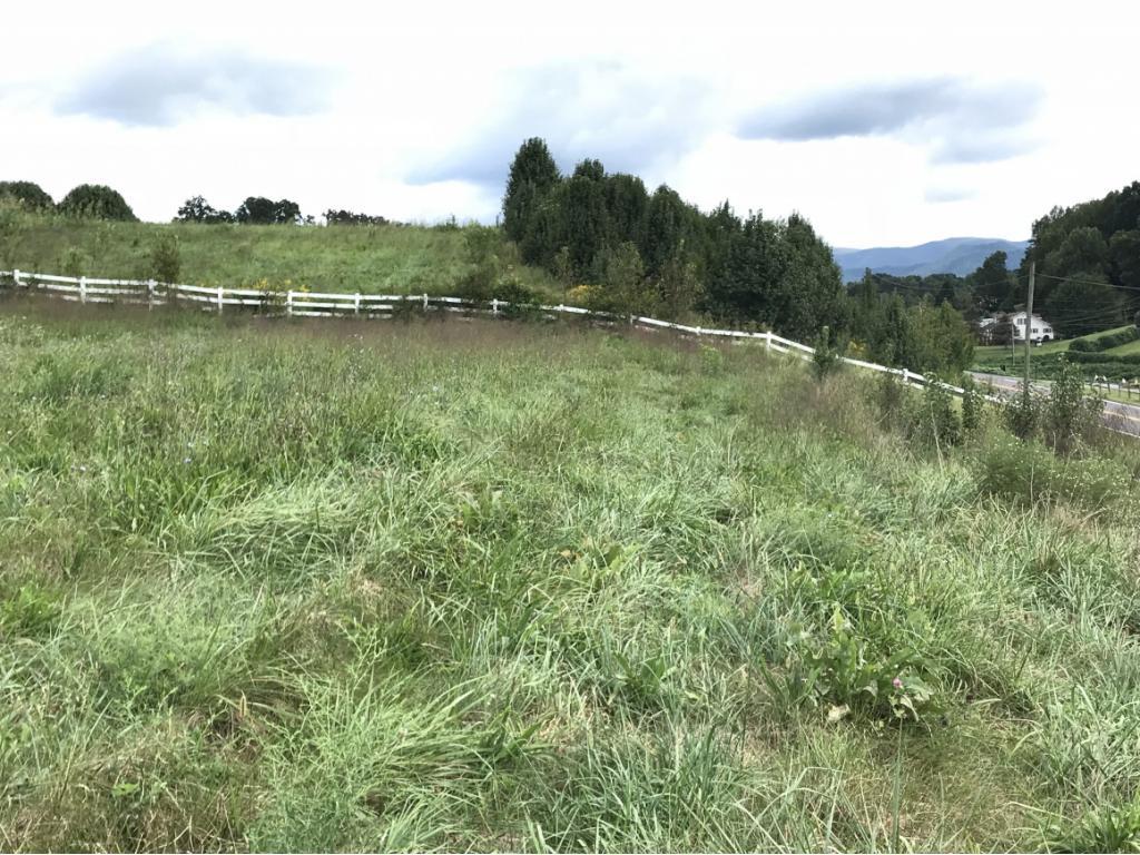 Image 3: Photo 3