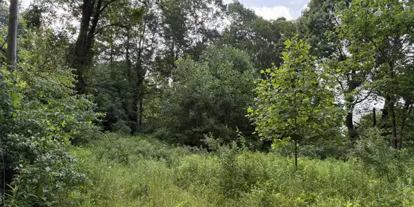353 Clarence Potter Road