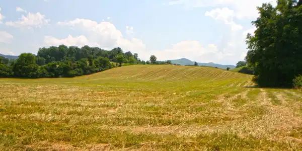637 Long Hollow Road