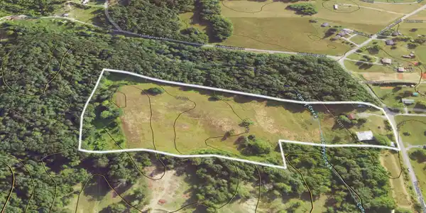 Image 4: 645 Hickory Cove Rd-4