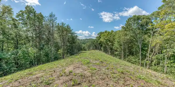 Image 2: 280 Old Cemetery Rd-30