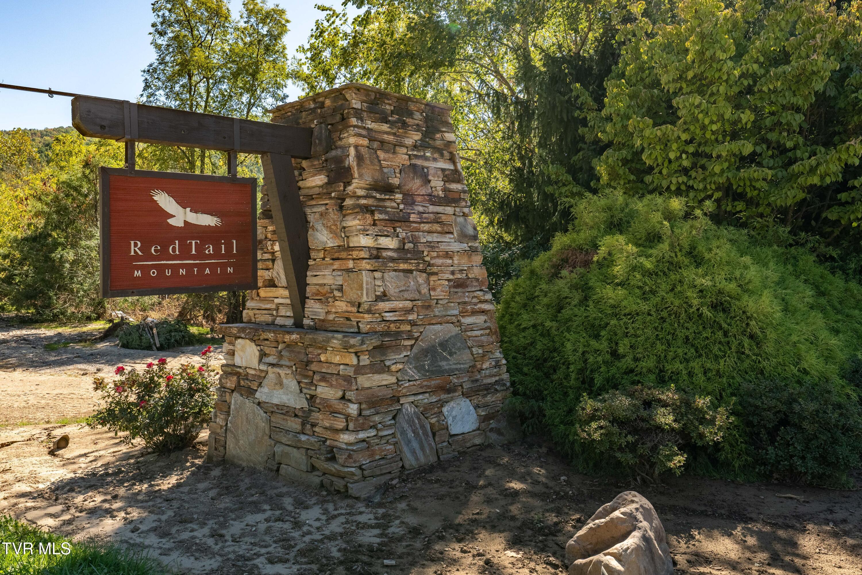 Image 3: Red Tail (2)