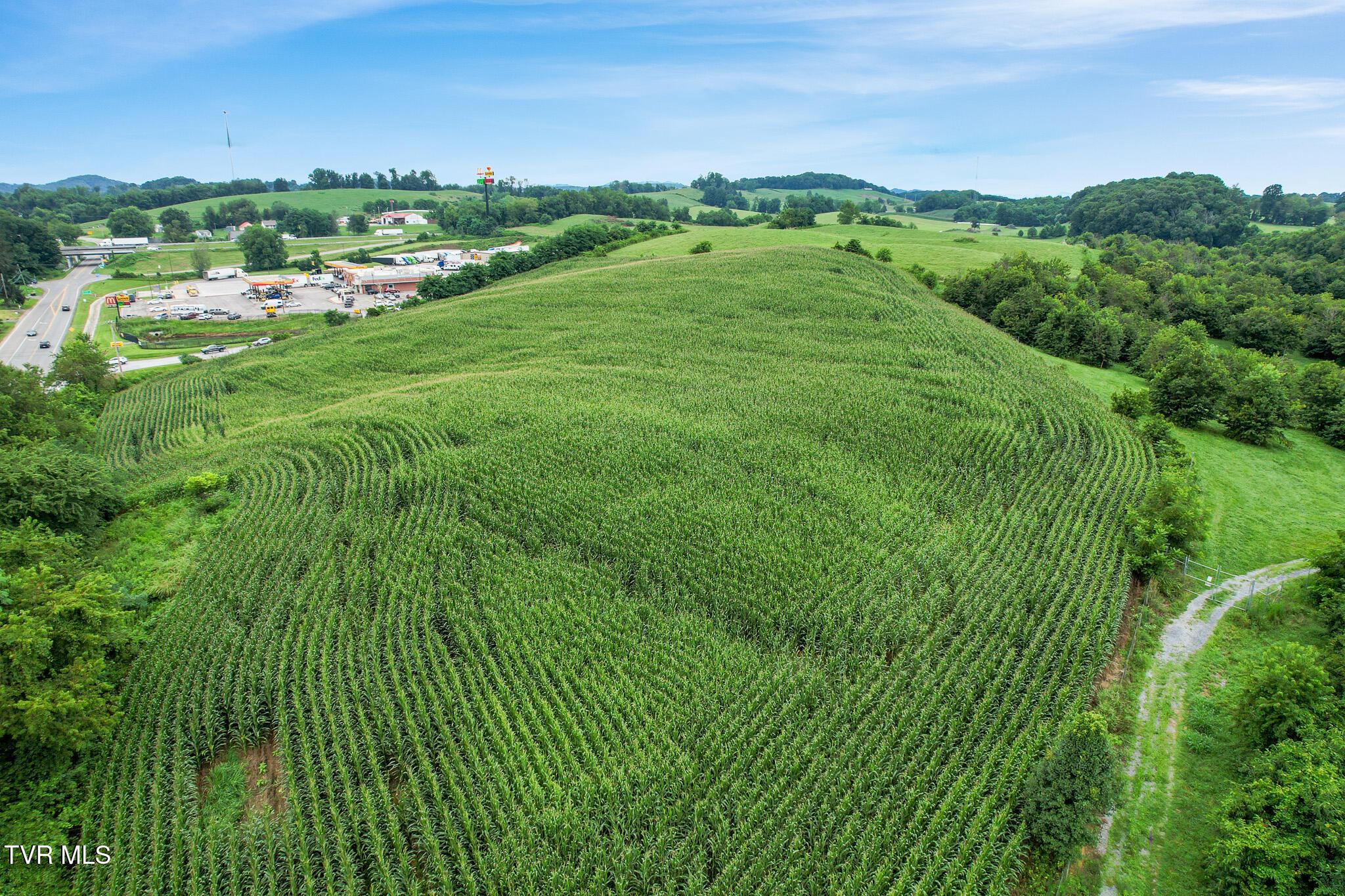 Image 3: dji_0030 copy