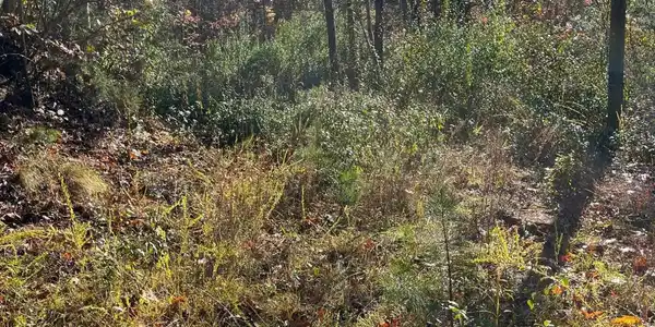 Tbd Big Ridge Road