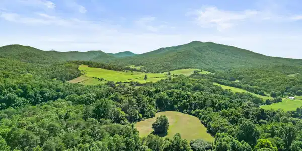 Image 2: DJI_0344