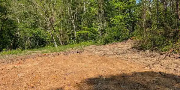 Image 2: ss2