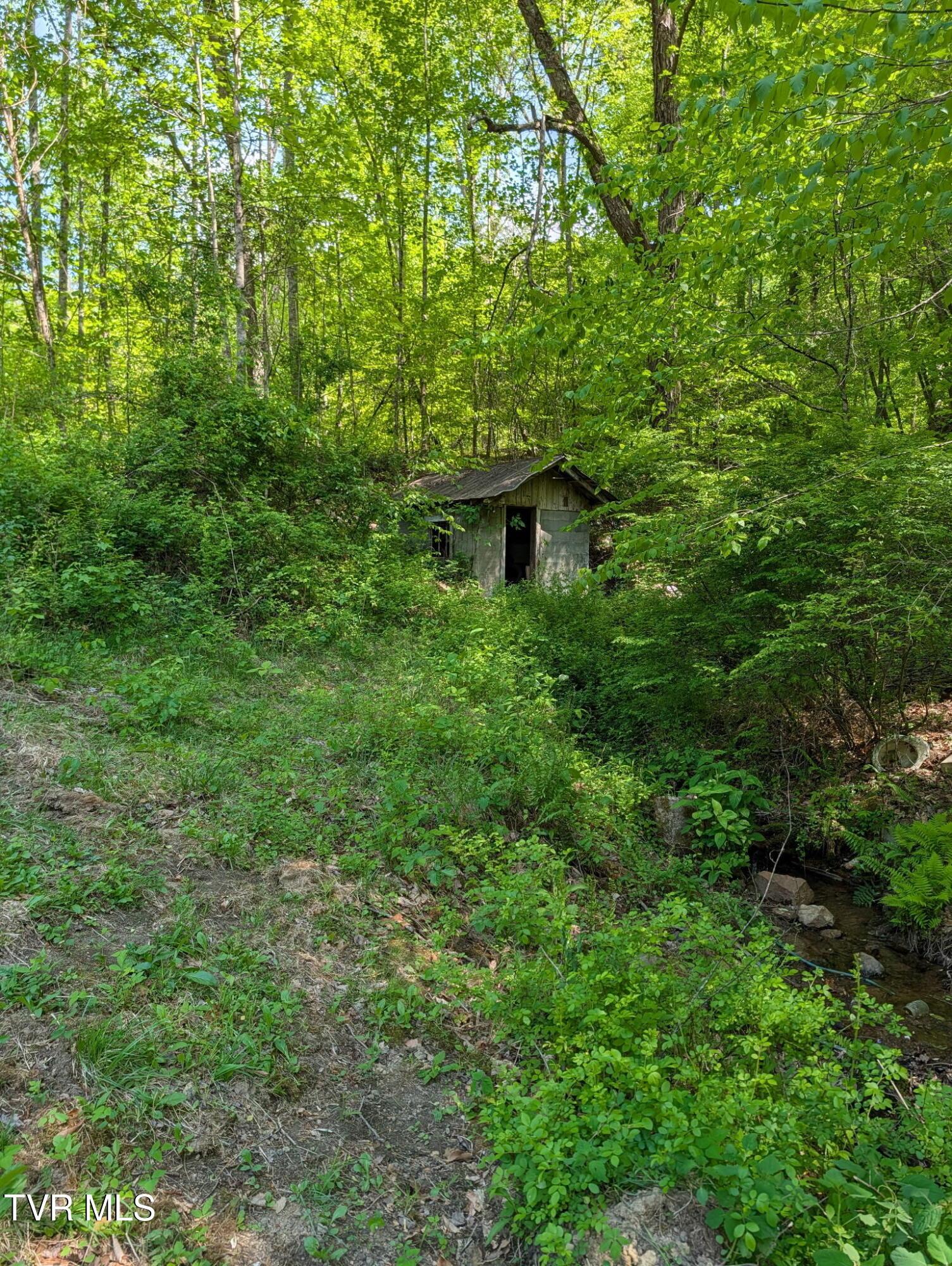 Image 3: ss3