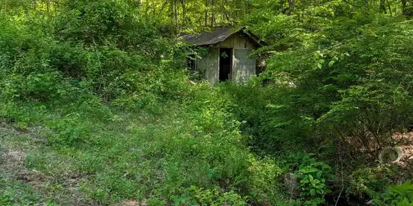 Image 3: ss3