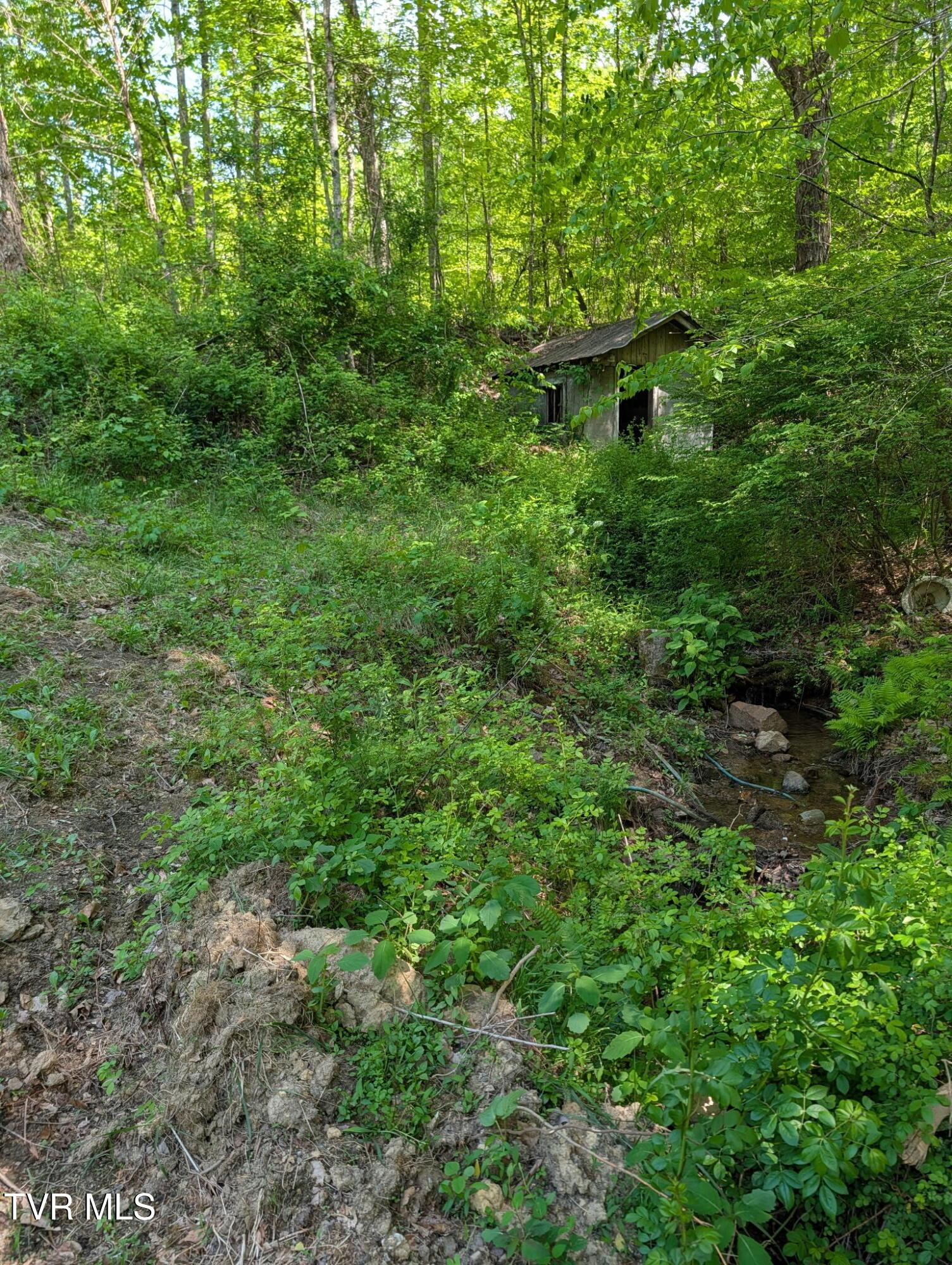 Image 4: ss4