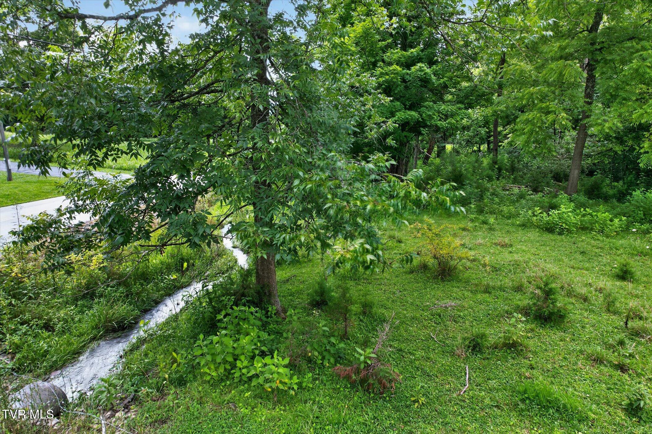 Image 4: 11-444-Bullock-Hollow-Rd-Windowstill