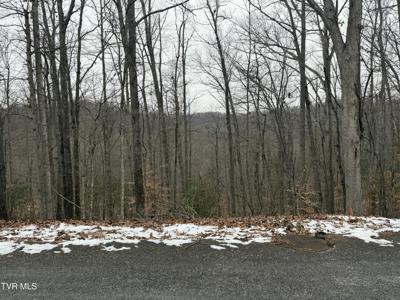Tbd Lot 5 Skyline Drive