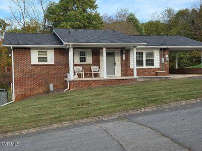 135 Unaka Subdivision Road
