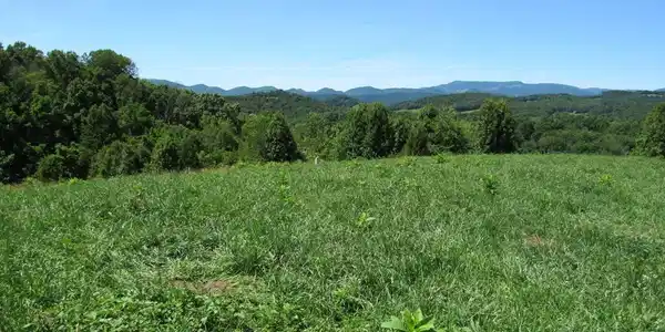 Lot 5a Logan Creek Road