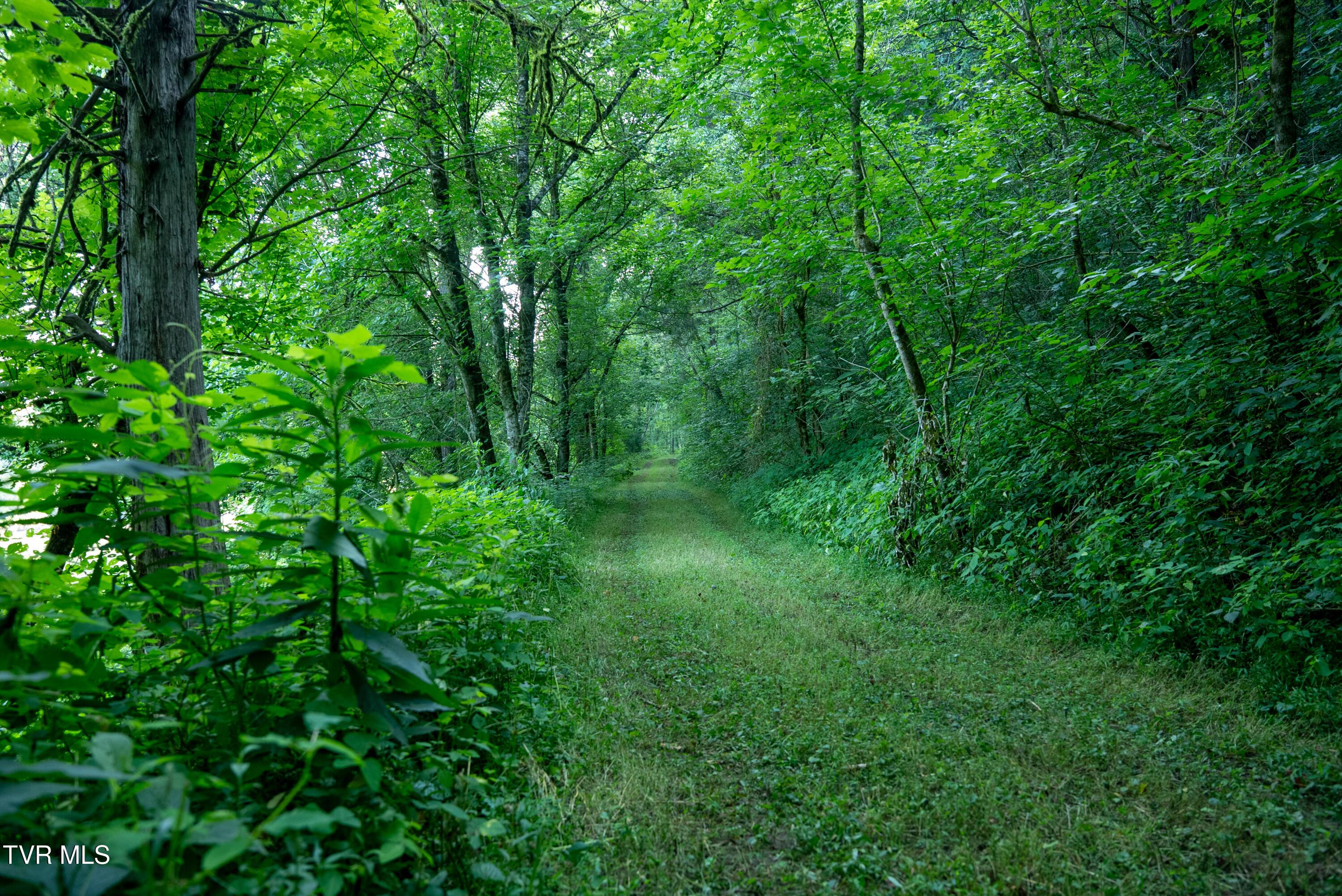 Image 3: Copy of _Pic80