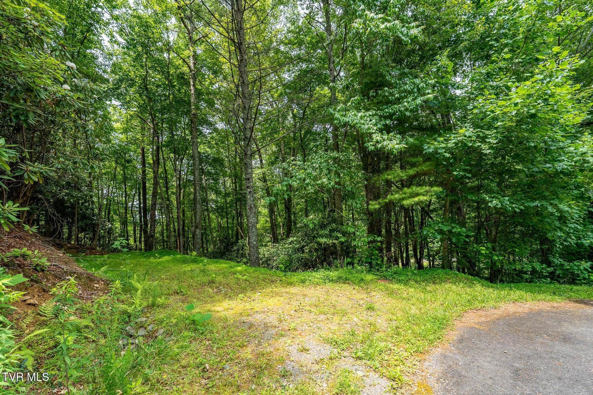 Image 2: Lot 12 Callalantee Dr (26 of 33)