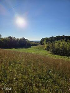 Tbd Old Baileyton Road