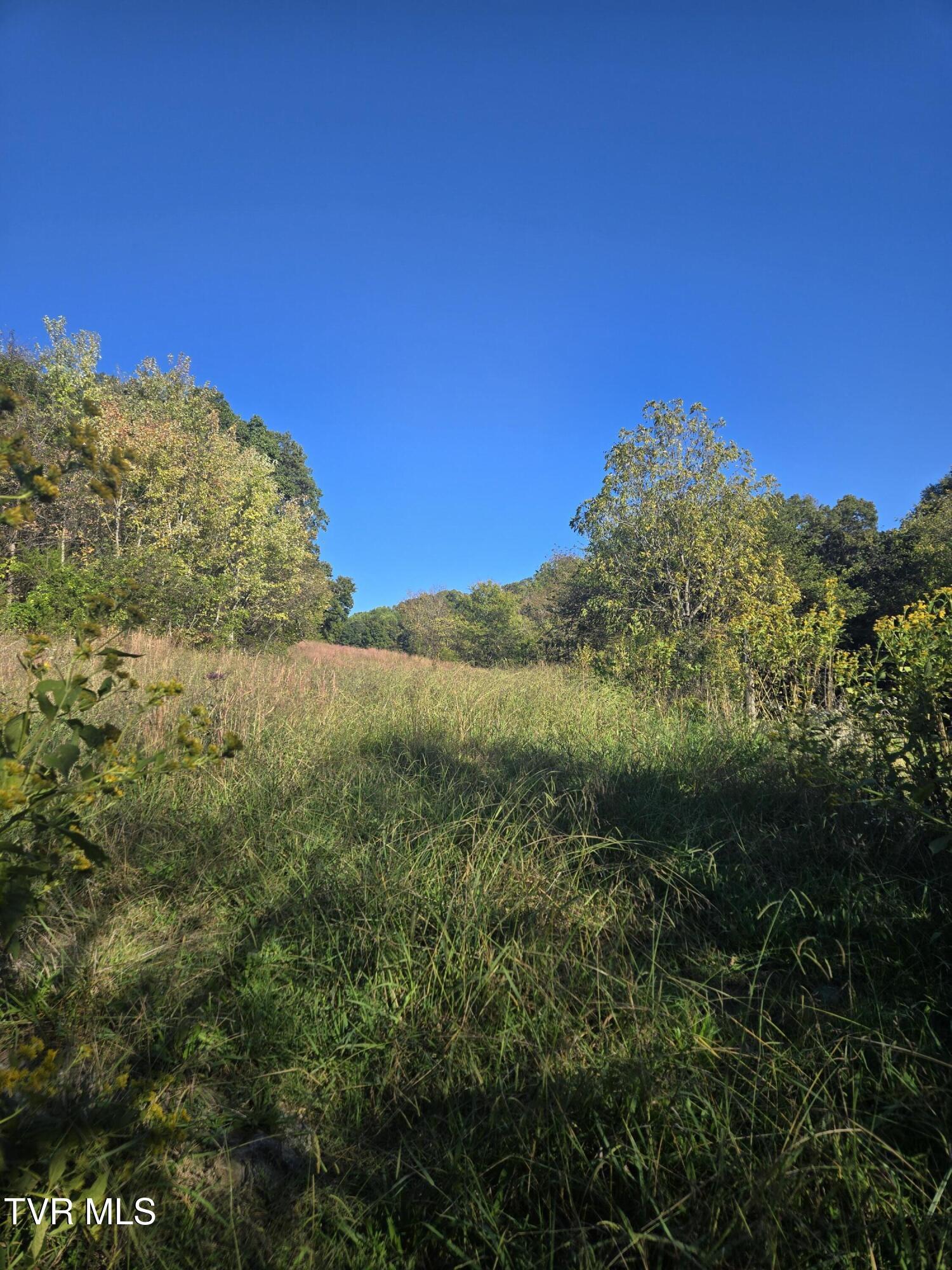 Image 3: 20251015_165634