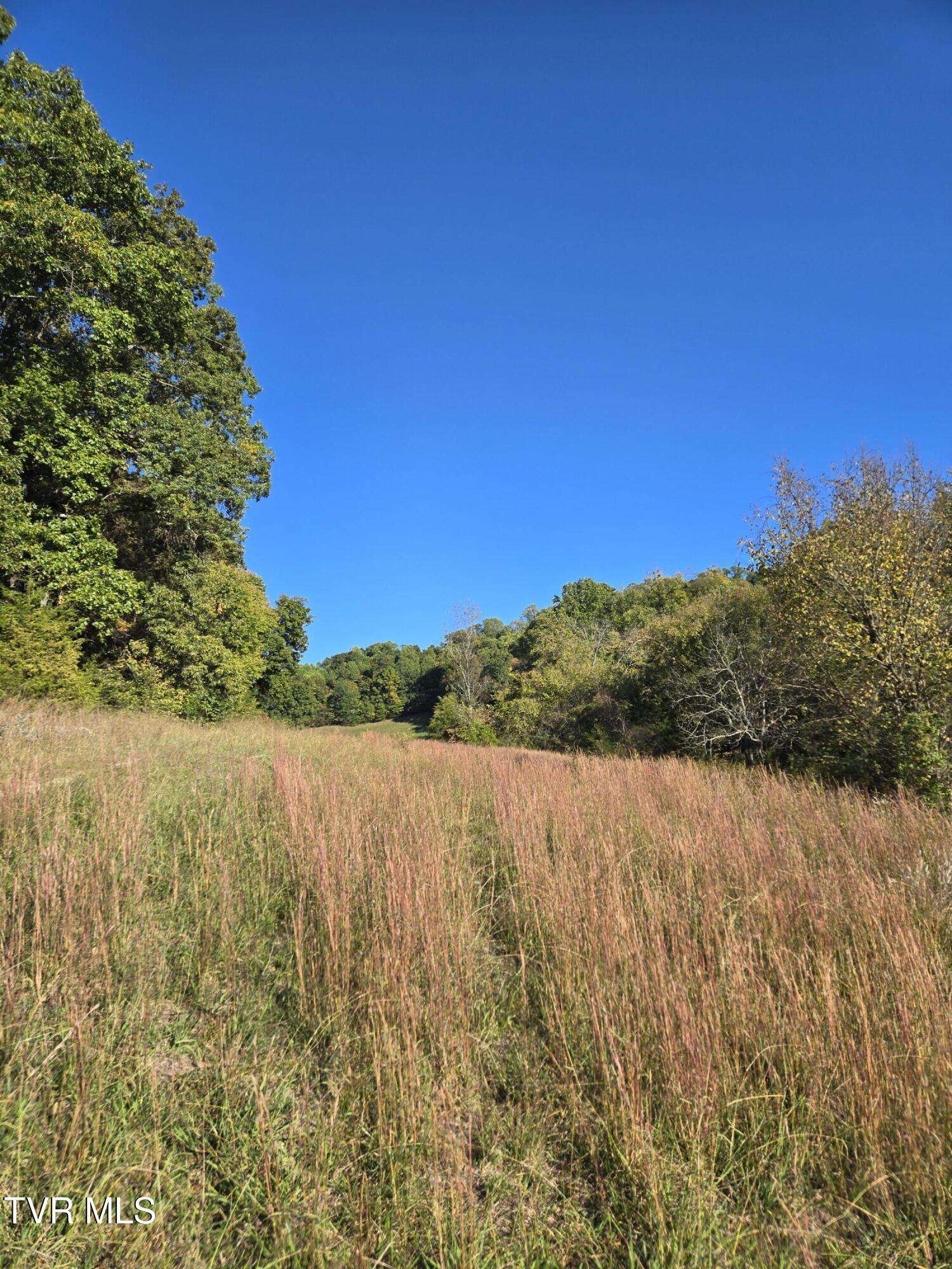 Image 4: 20251015_170345
