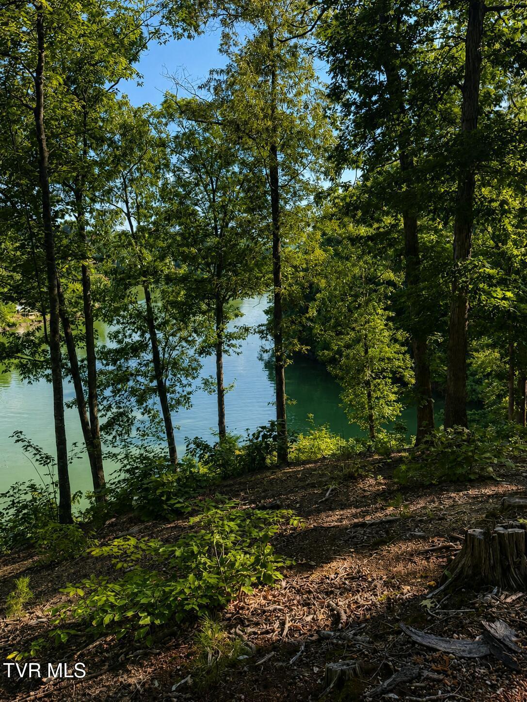 Image 2: waterfront acreage