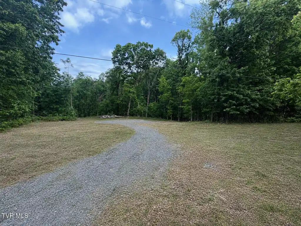 Image 1: New Pictures for Chuckey