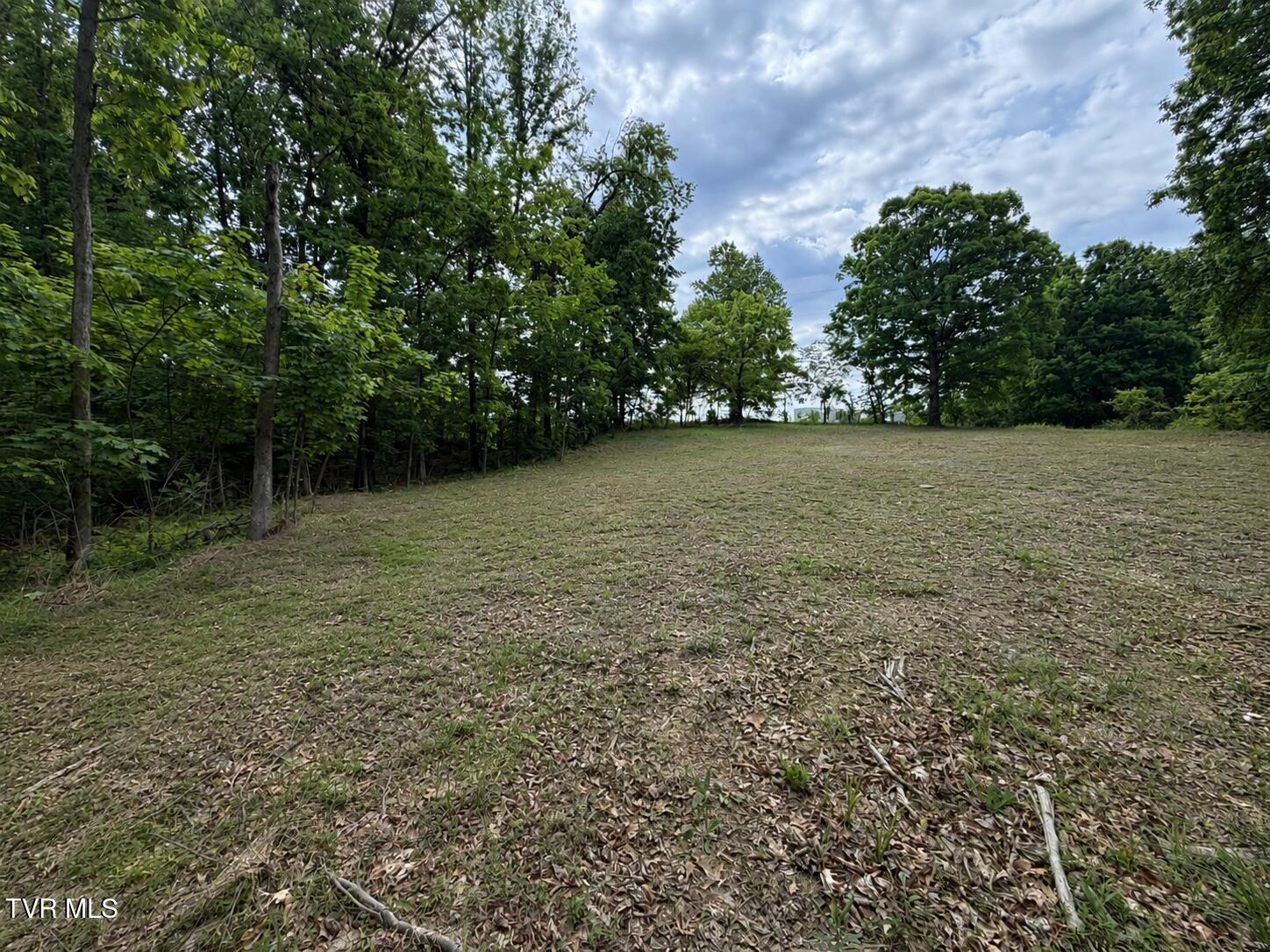 Image 2: New Picture