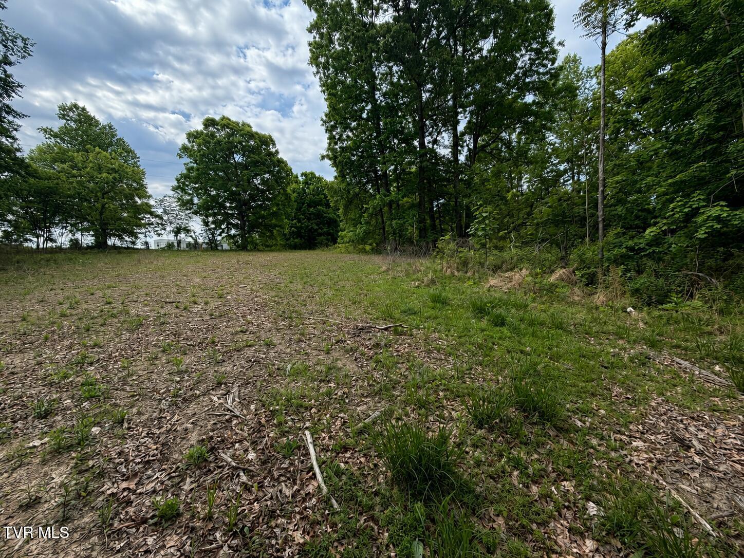 Image 3: New Picture