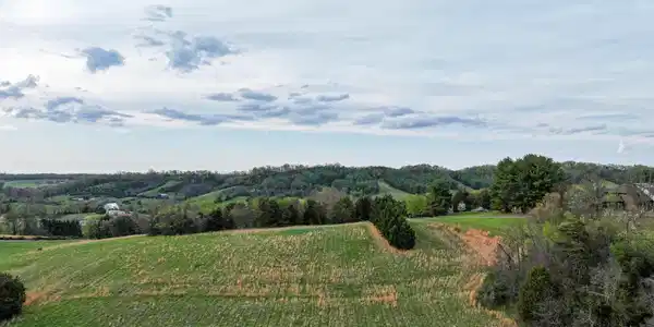 Image 2: DJI_20260403170849_0219_D