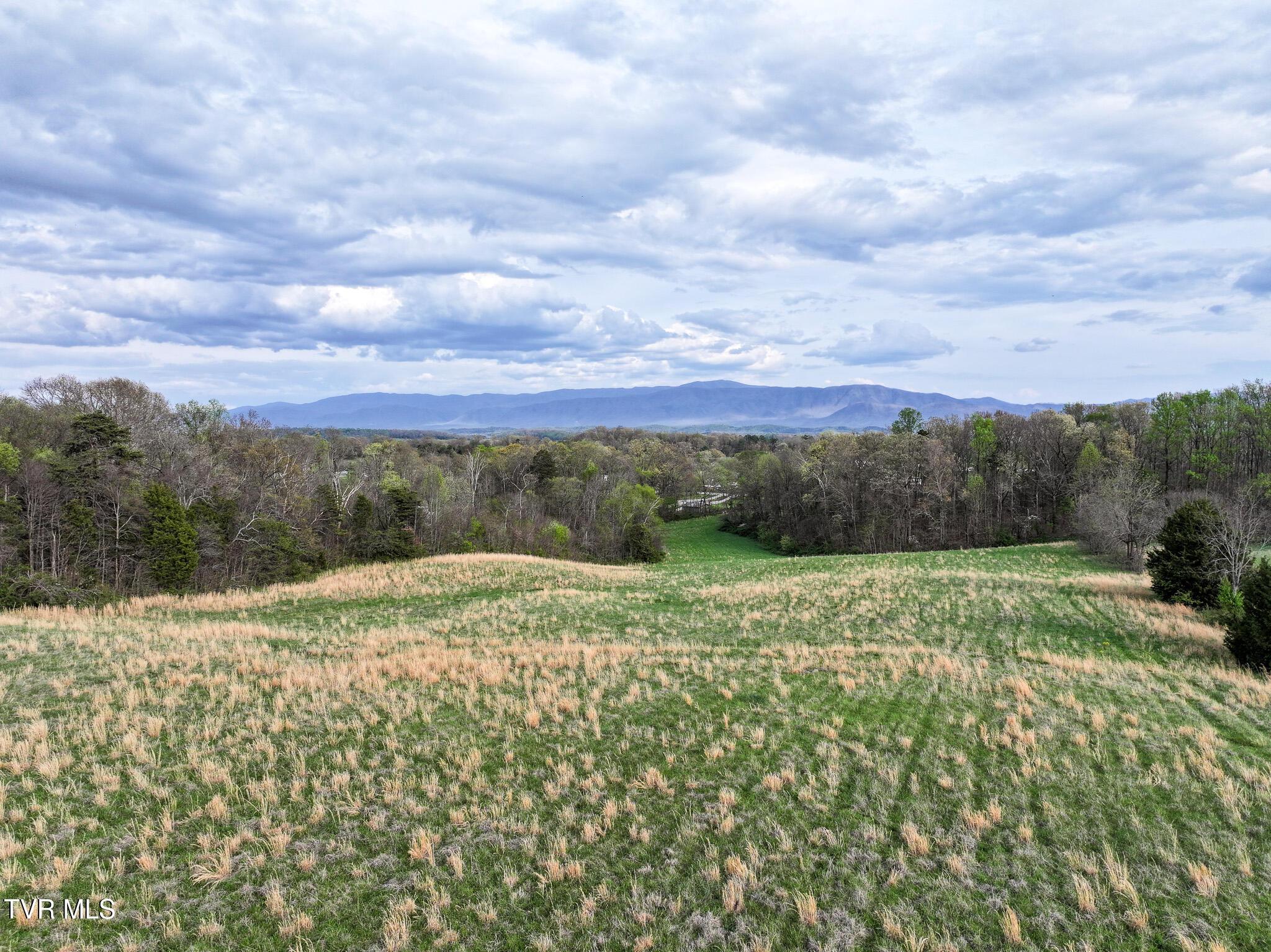 Image 4: DJI_20260403170756_0214_D