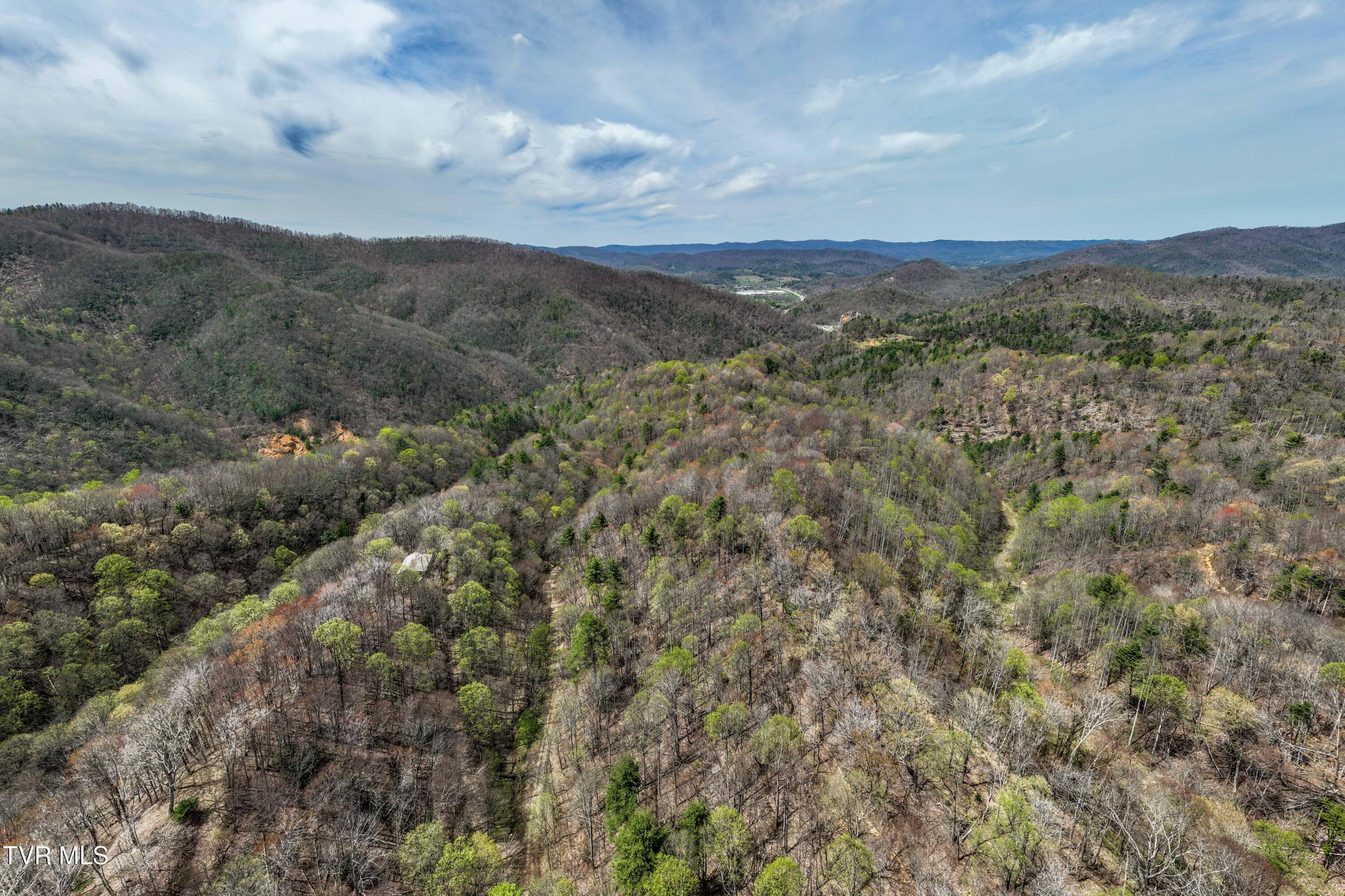 Image 4: TBD Culbertson Rd (4 of 21)