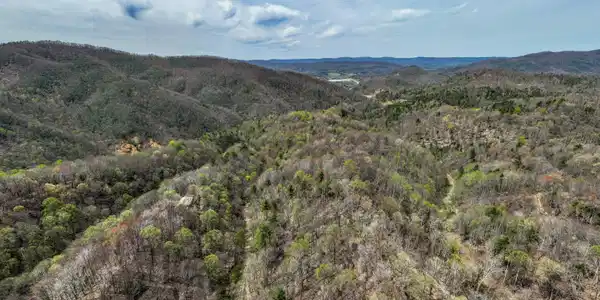 Image 4: TBD Culbertson Rd (4 of 21)