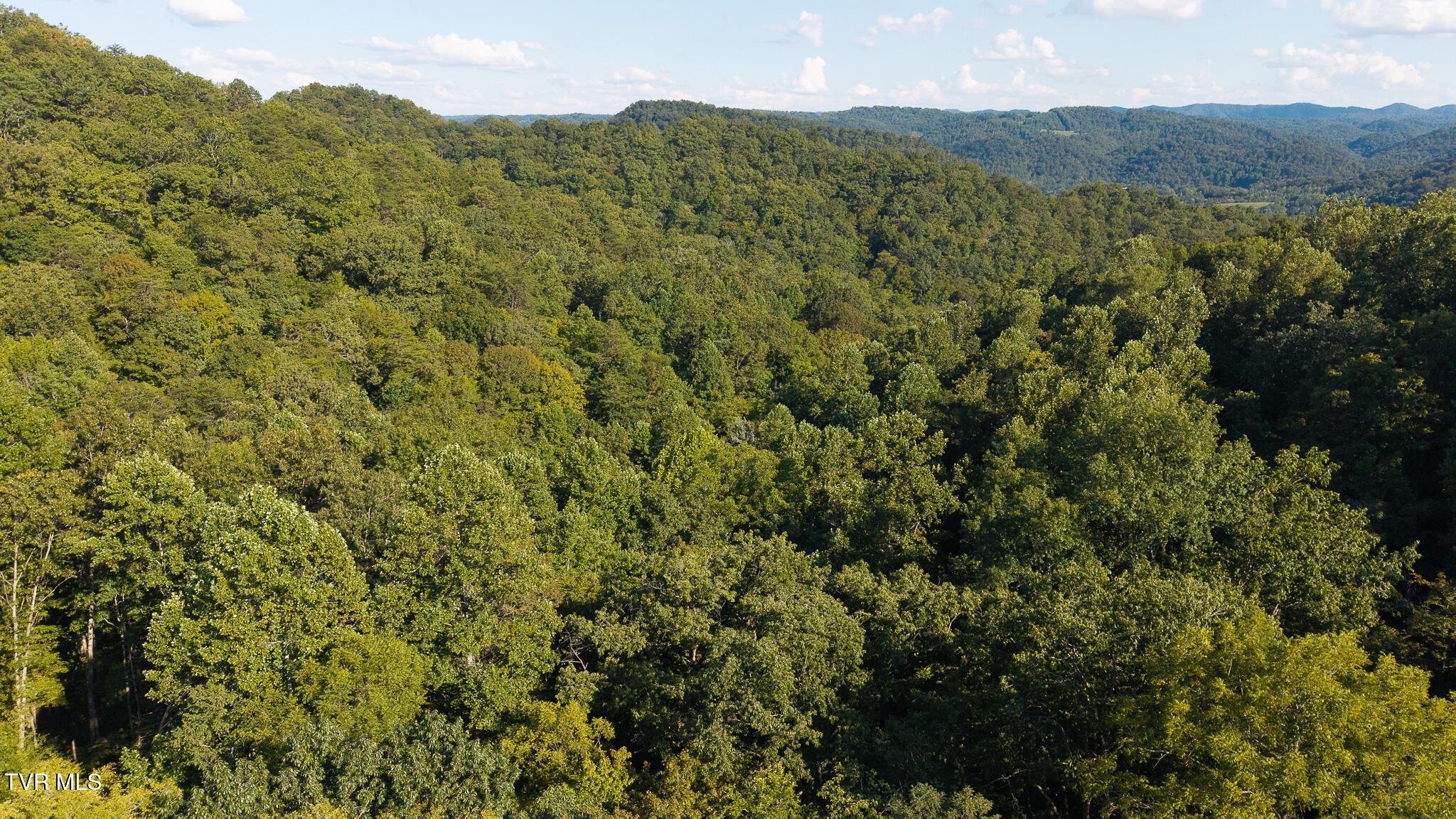 Image 1: DJI_20250830173447_0374_D