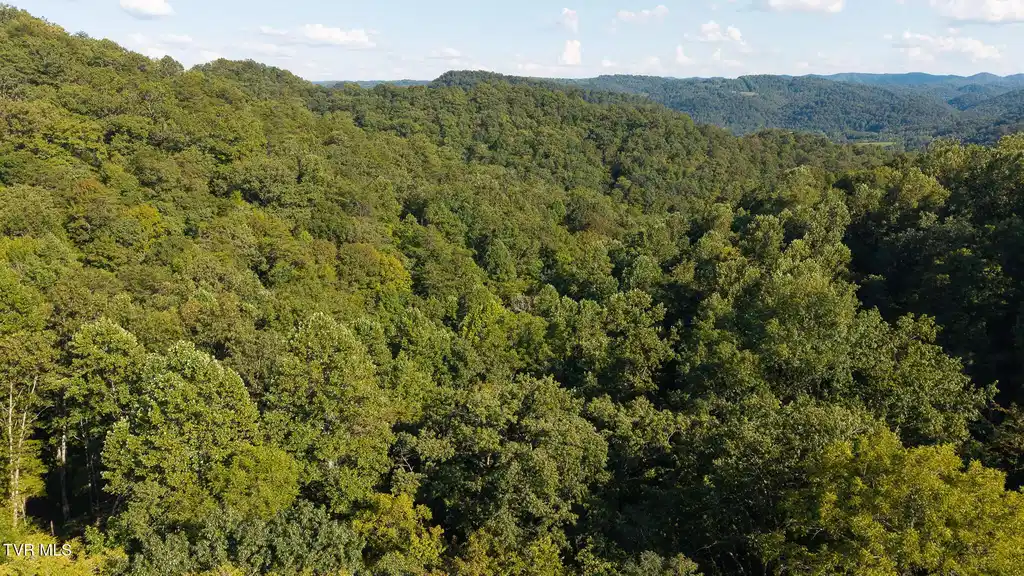 Image 1: DJI_20250830173447_0374_D