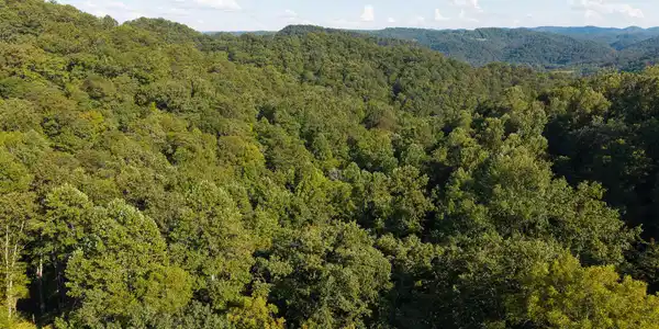 32.38 Ac Off Panther Creek Road