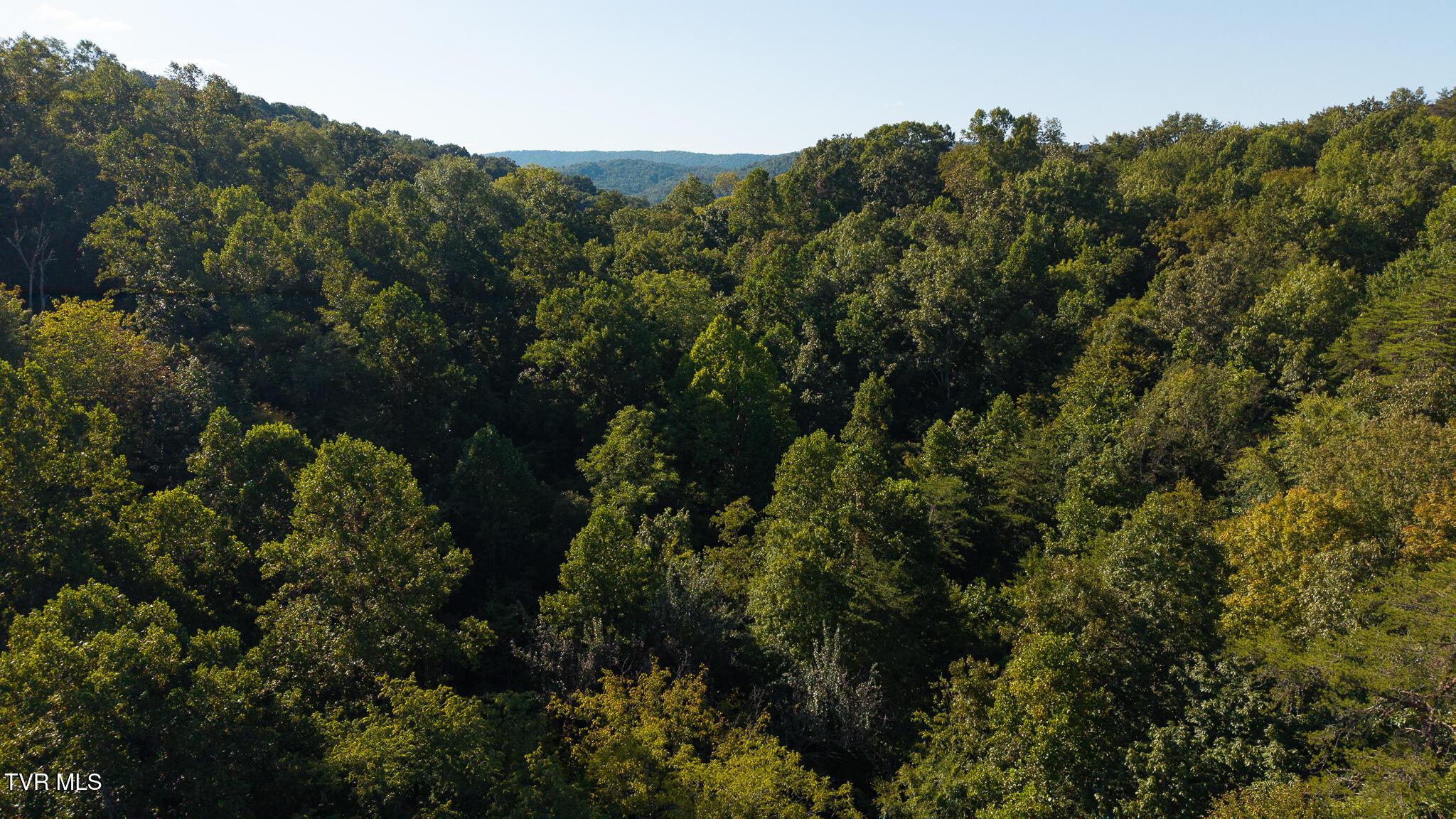 Image 2: DJI_20250830173530_0376_D
