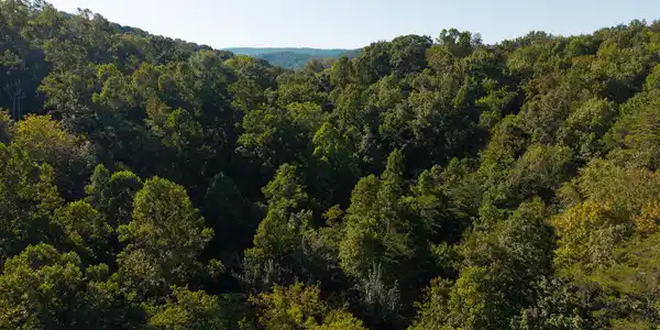 Image 2: DJI_20250830173530_0376_D