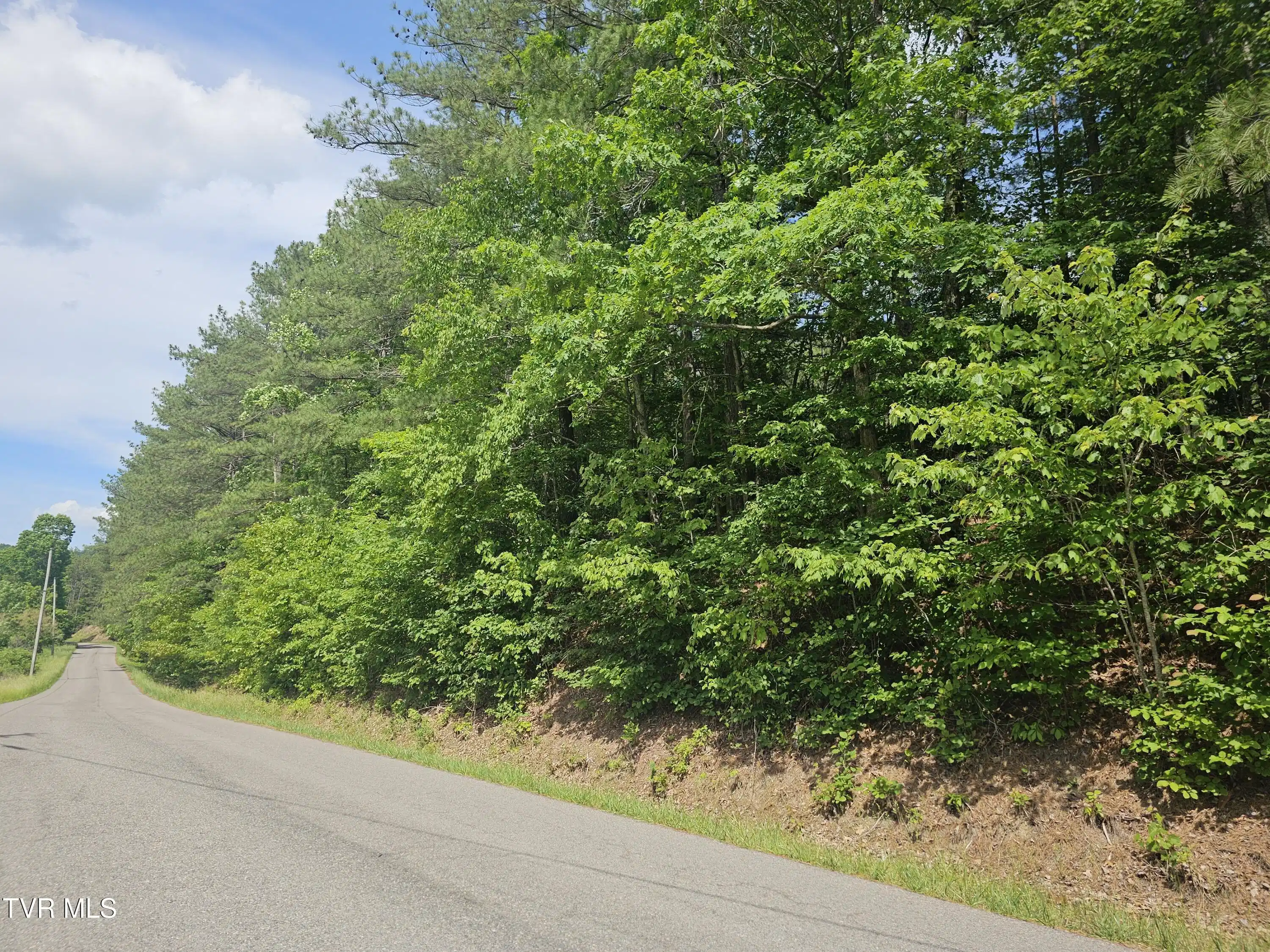 Image 1: from road