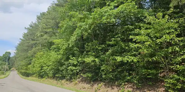 Tbd Old Hurricane Road