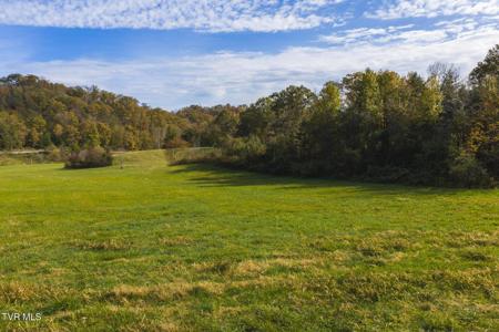 1619 Lynn Flanary Road