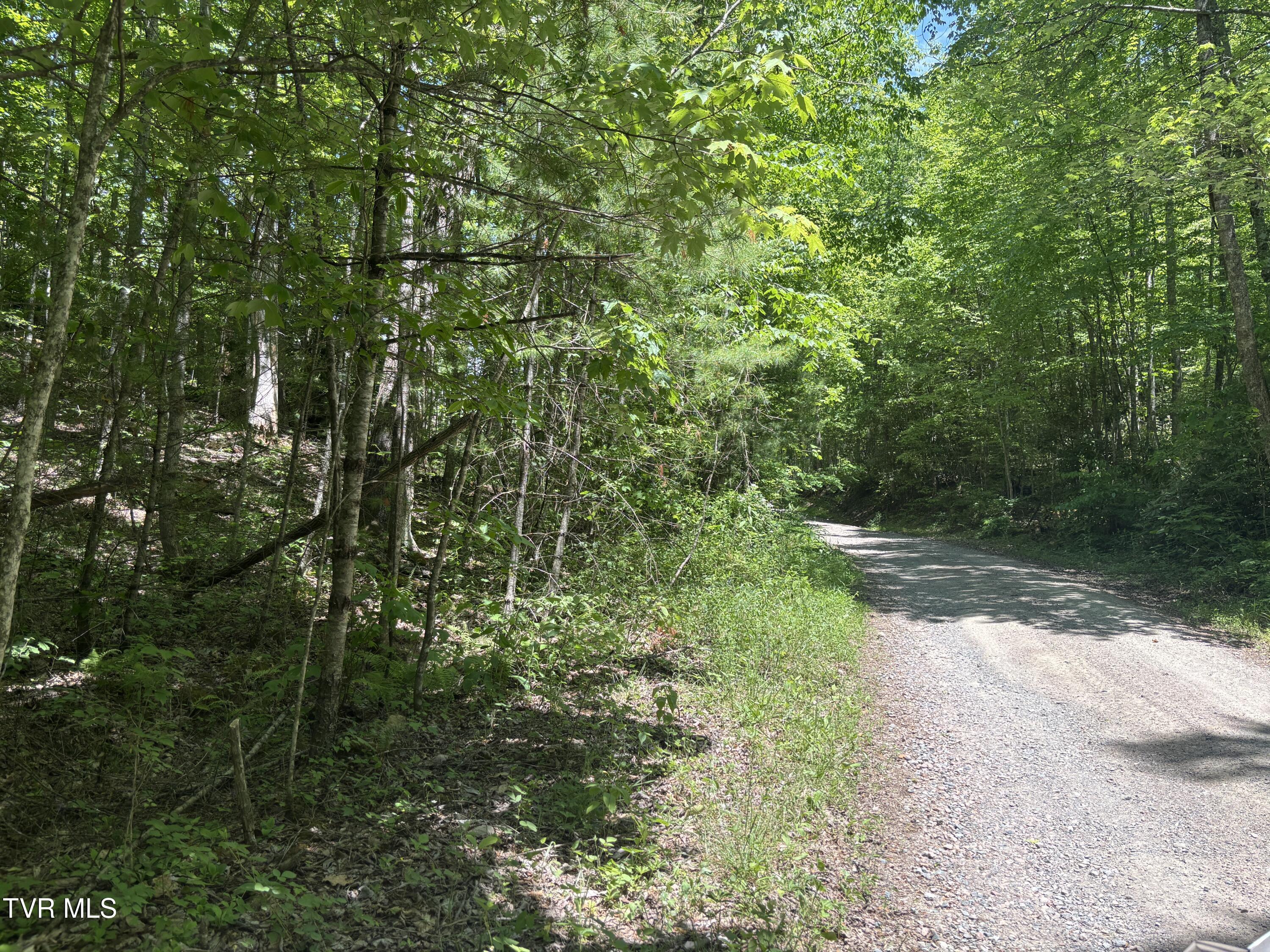 Image 4: IMG_5485