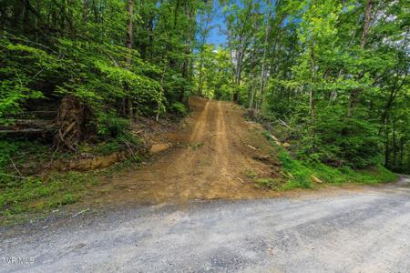 Tbd Longs Bend Road