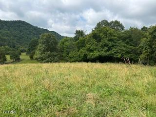 Image 1: pic14