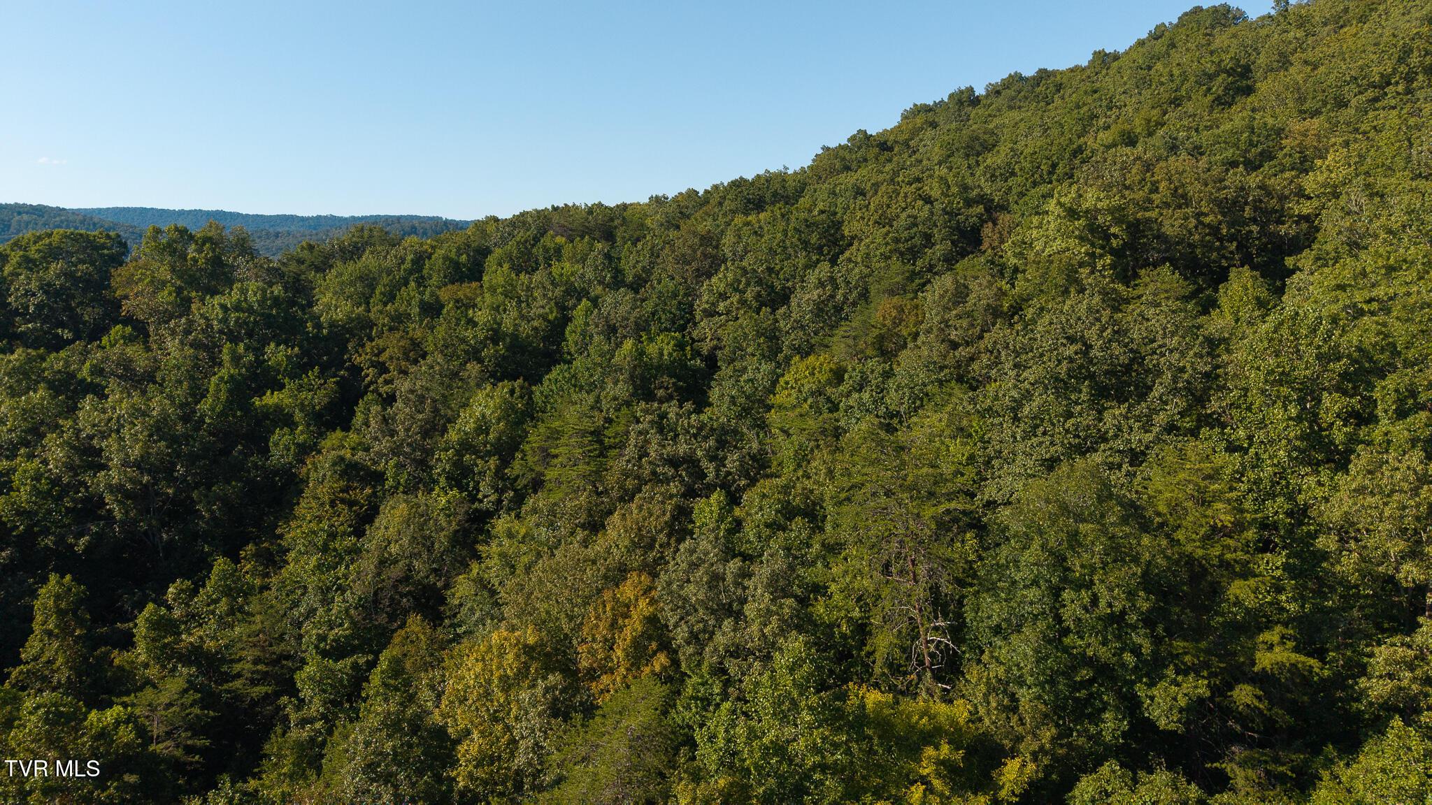 Image 3: DJI_20250830173612_0377_D
