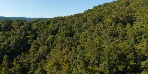 Image 3: DJI_20250830173612_0377_D