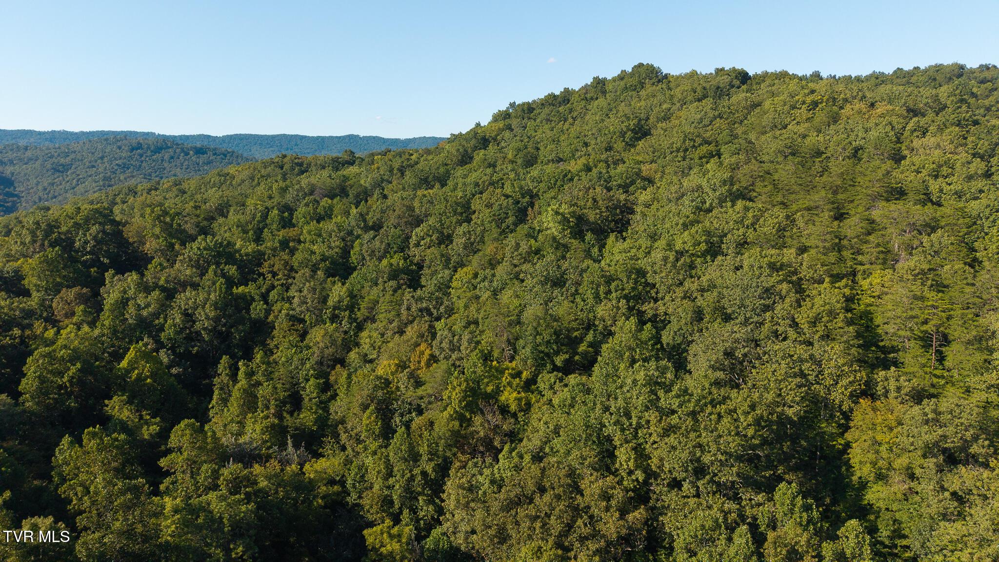 Image 4: DJI_20250830173623_0378_D