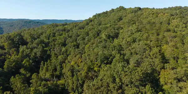 Image 4: DJI_20250830173623_0378_D